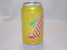 Load image into Gallery viewer, Squirt Safes
