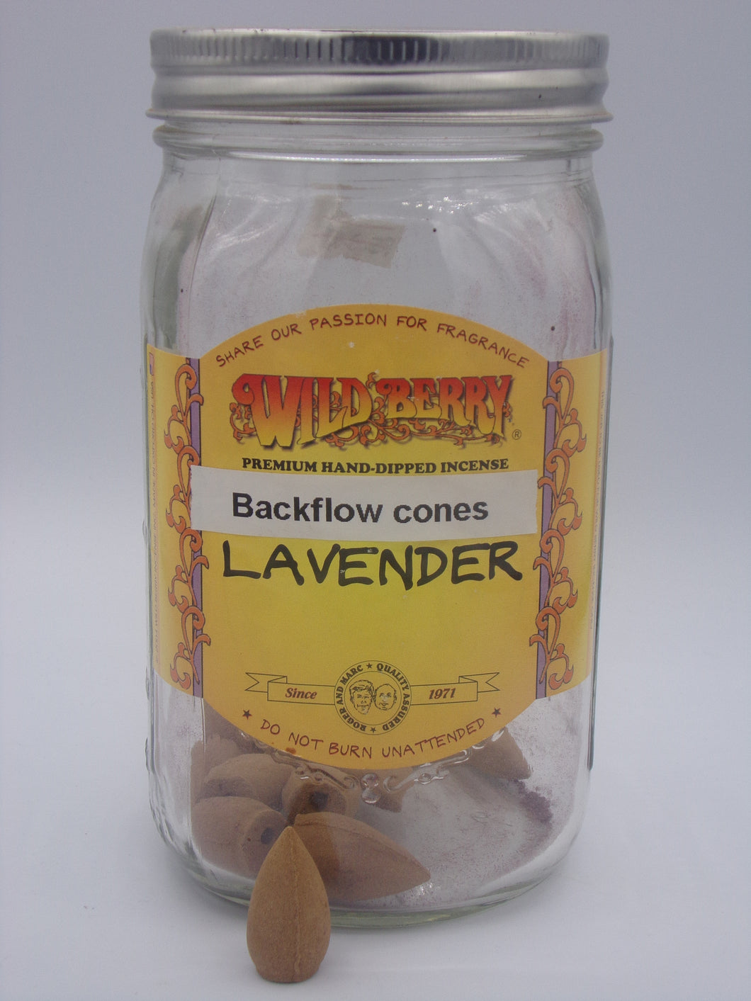 Backflow Cones Small