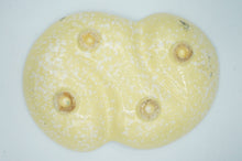 Load image into Gallery viewer, Vintage Yellow Ceramic Yellow Plate - ohiohippiessmokeshop.com
