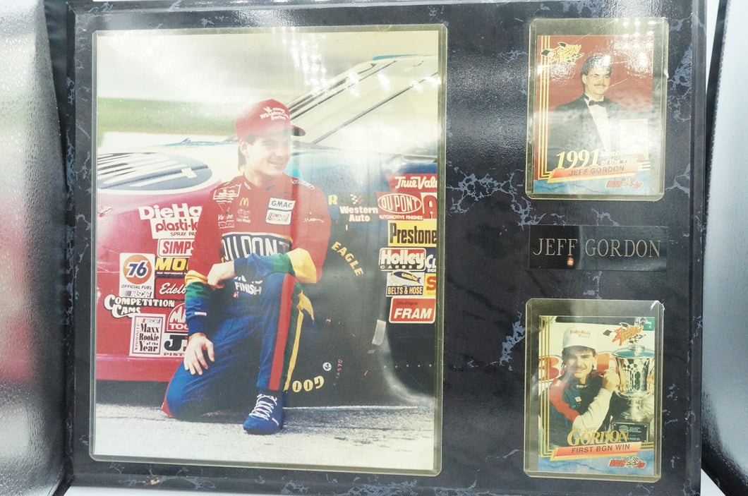 Jeff Gordon #24 The Rainbow Warrior Artwork - ohiohippiessmokeshop.com