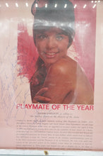 Load image into Gallery viewer, Vintage Picture of Playmate of the Year Jo Collins - ohiohippiessmokeshop.com
