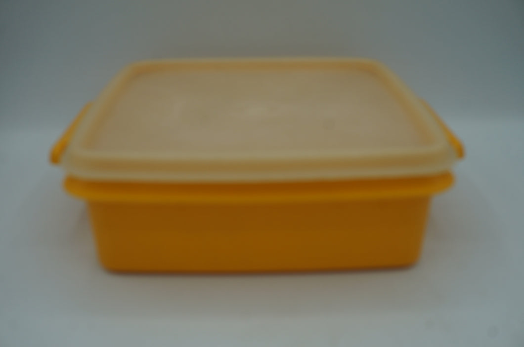 vintage Tupperware container- ohiohippies.com