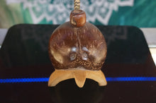 Load image into Gallery viewer, Turtle Tobacco Pipe - ohiohippiessmokeshop.com
