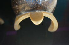 Load image into Gallery viewer, Turtle Tobacco Pipe - ohiohippiessmokeshop.com
